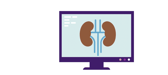 Sistema circulatorio