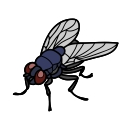 Mosca negra